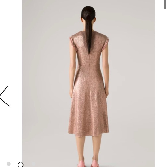 St John’s Sequin Knit Cap Sleeve Fit & Flare Dress W/ Fringe Trim Detail - Lined - Picture 2 of 9